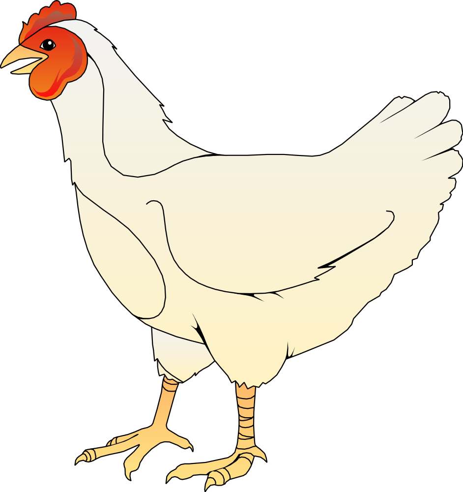  Gambar  Ayam  Pusat Gambar 